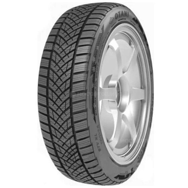Otani WK1000 225/40 R18 92V XL зимние