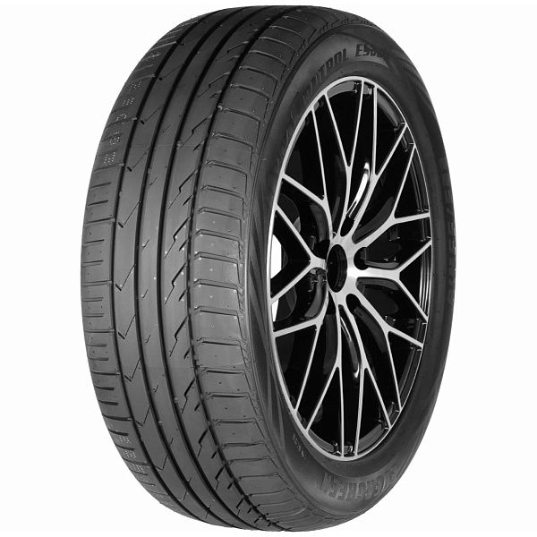 Evergreen Dynacontrol ES880 225/45 R19 96W XL летние китайские
